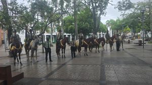 WhatsApp Image 2026-02-18 at DD