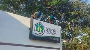 WhatsApp Image 2026-02-18 at F